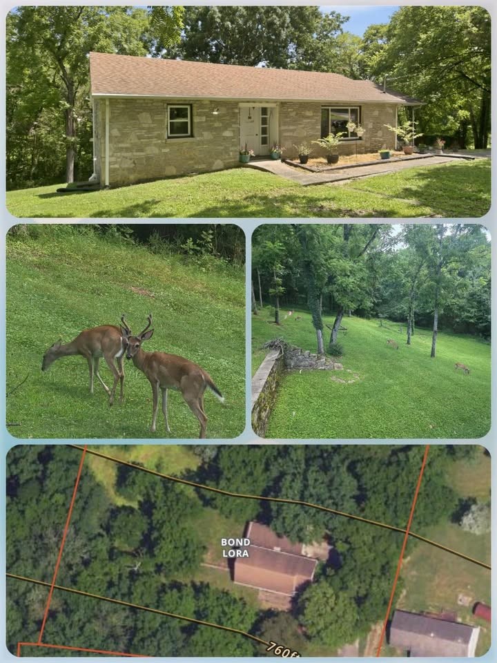 215 Wallace Dr