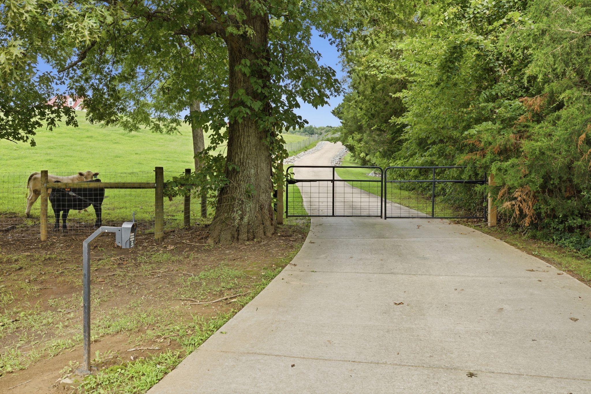 7595 Nolensville Rd