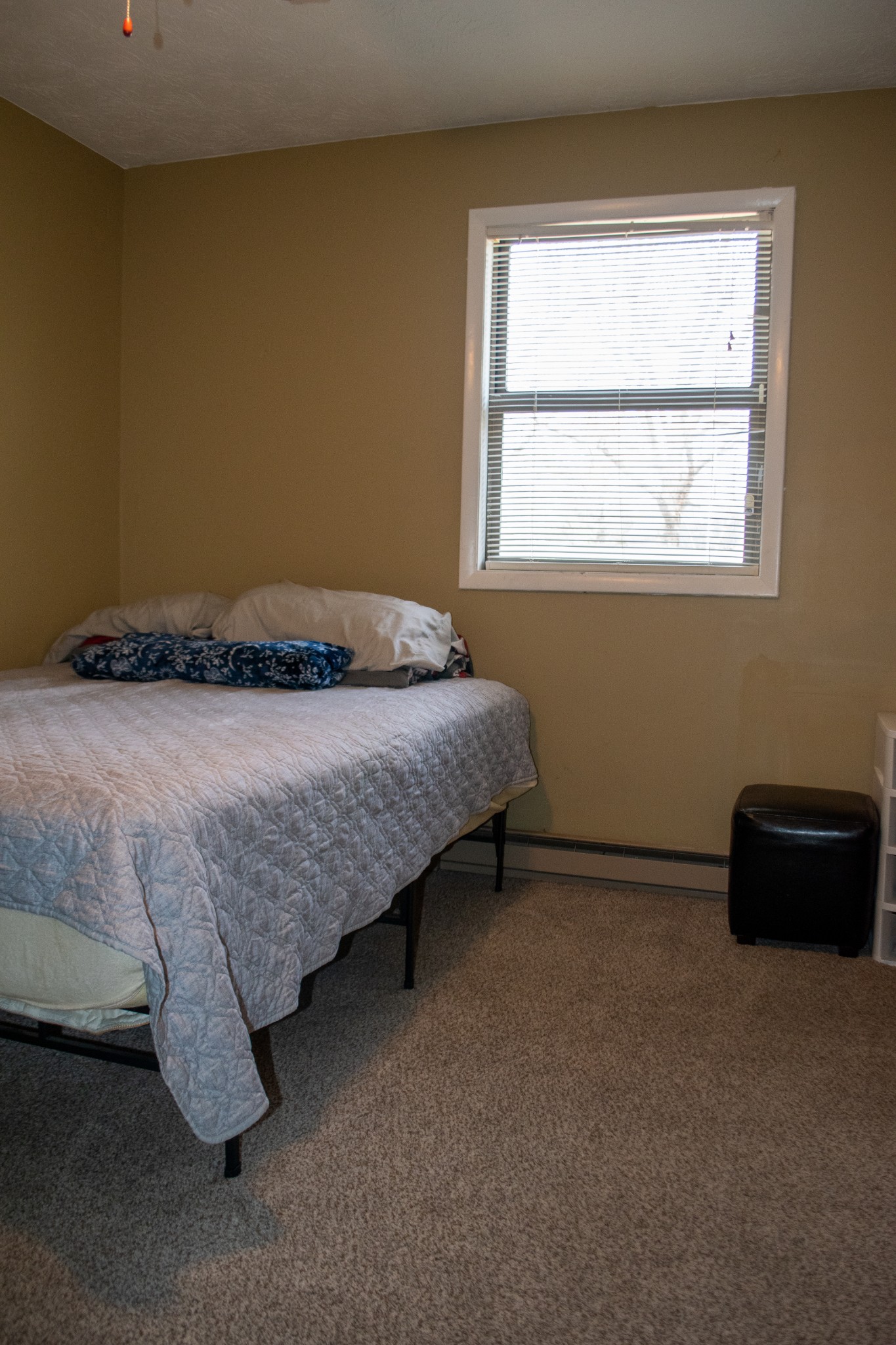 169 Wyndotte Way