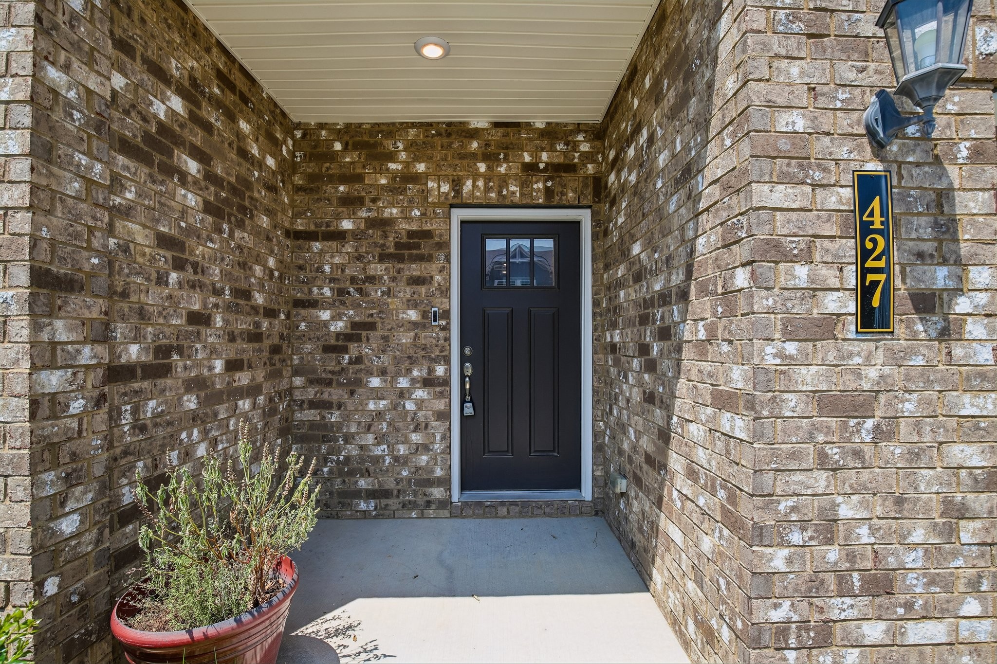 427 Palmetto Dr