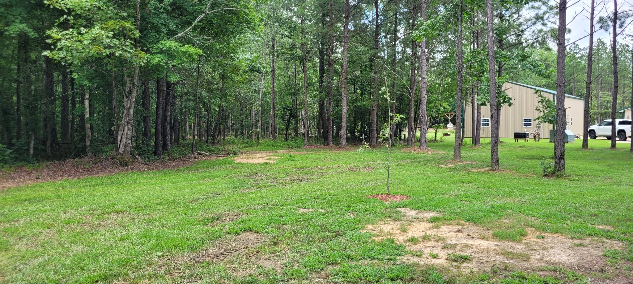 167 Freeman Fielder Rd