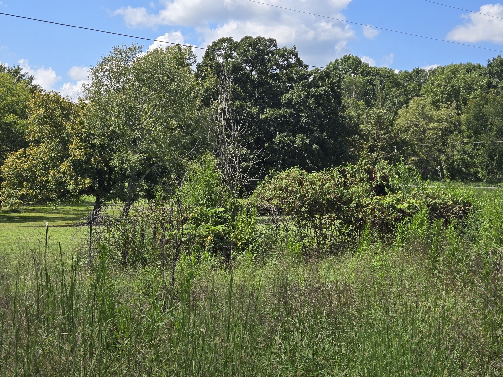 8473 Taliaferro Rd
