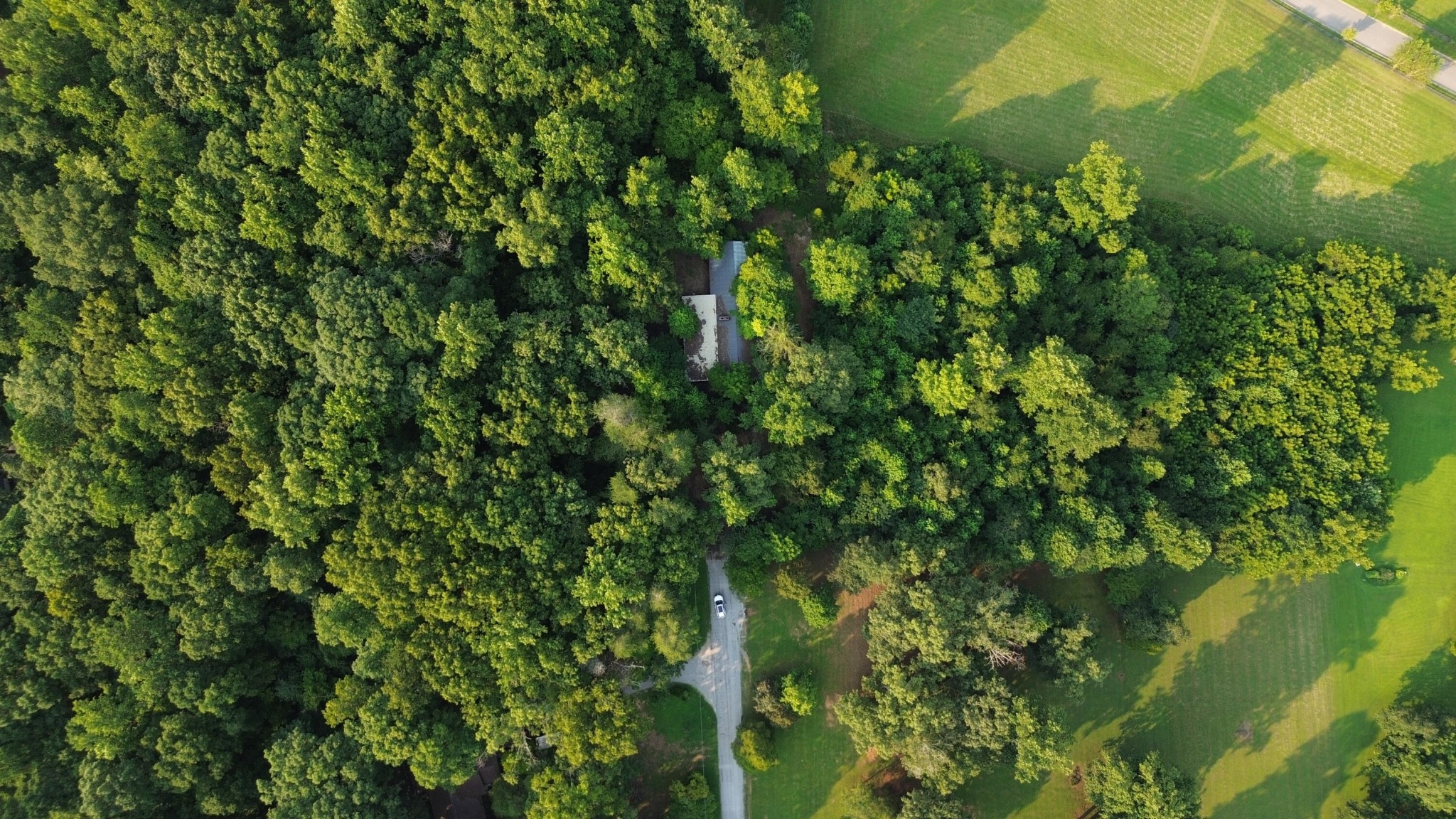 276 Oak Drive