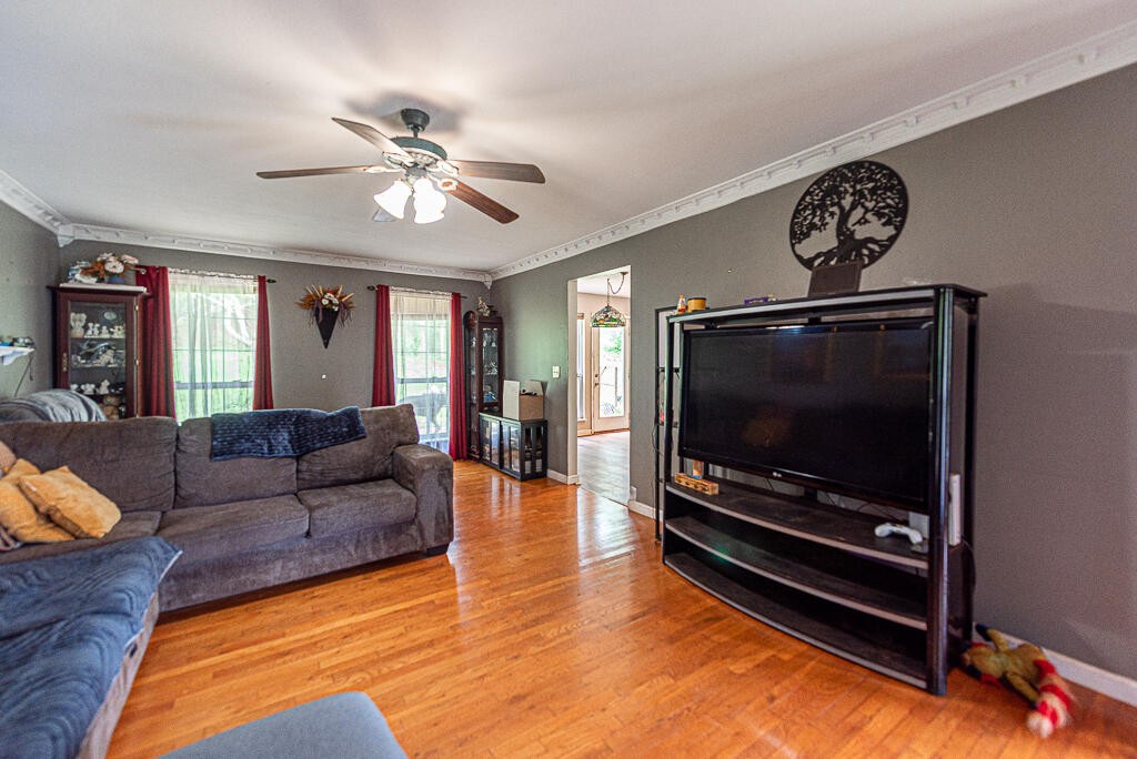 359 County Road 675