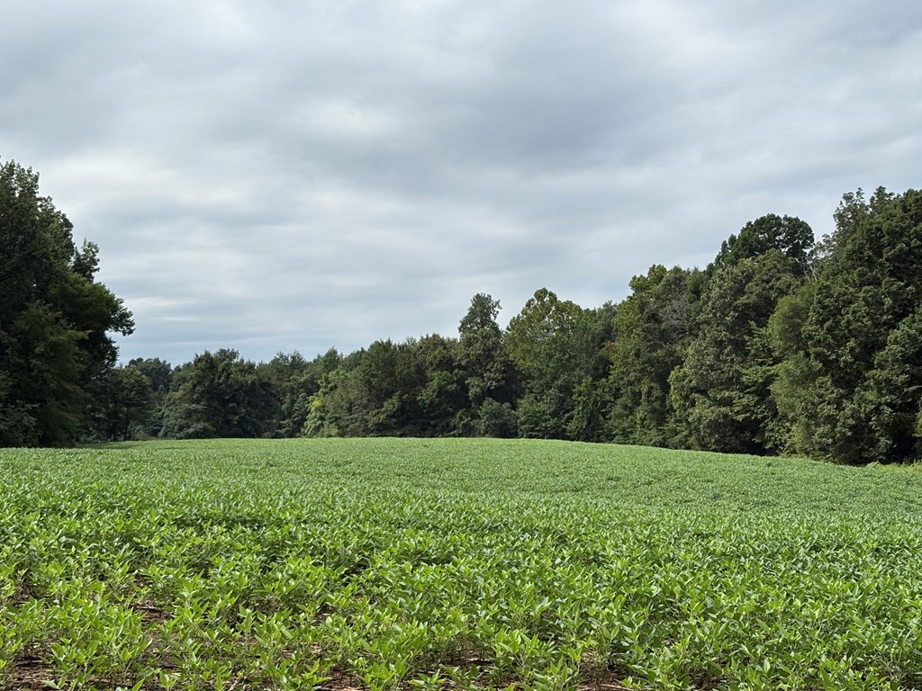 375 Ables Rd