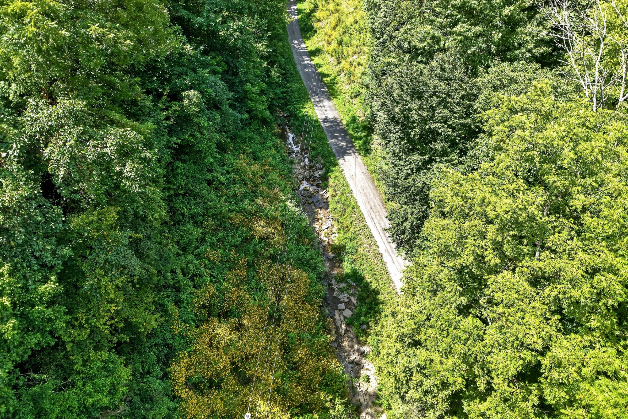 2949 Wilmouth Creek Rd
