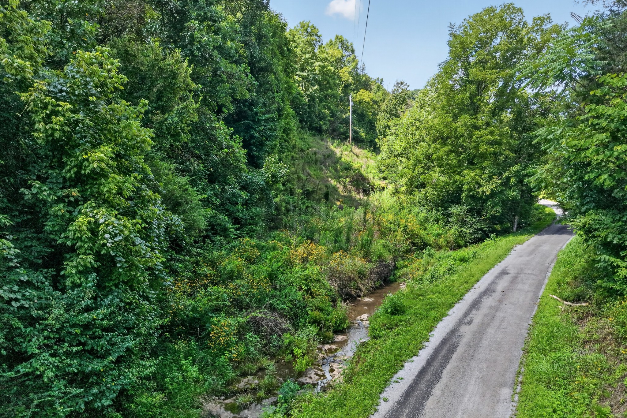 2949 Wilmouth Creek Rd