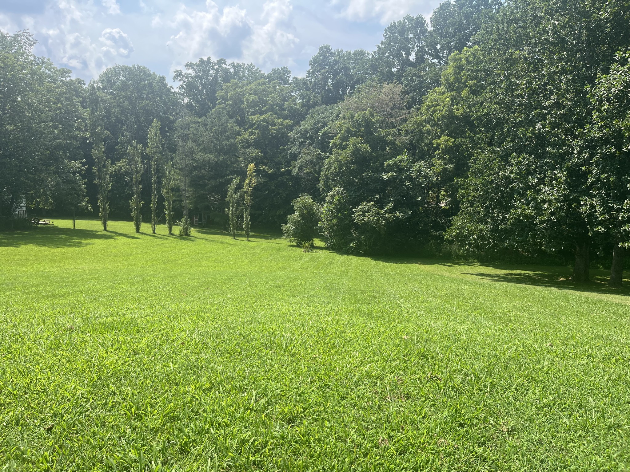 117 Keri Dr