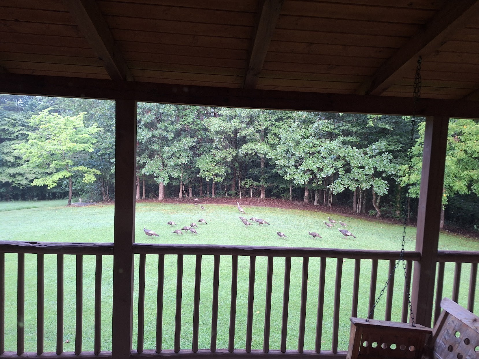 146 Sparkmantown Rd