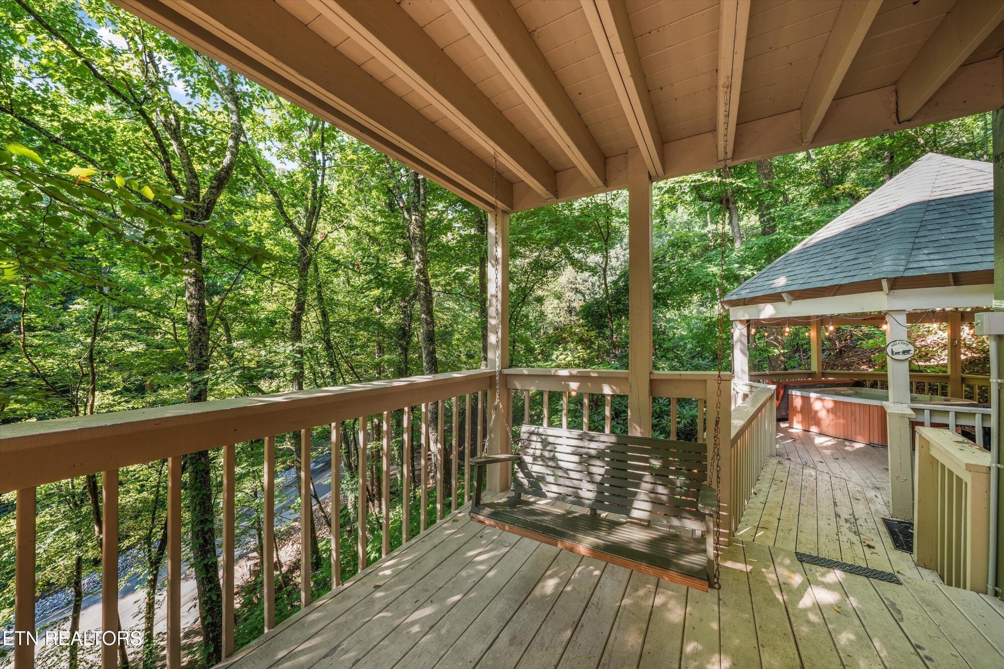 1110 Ski Mtn Rd