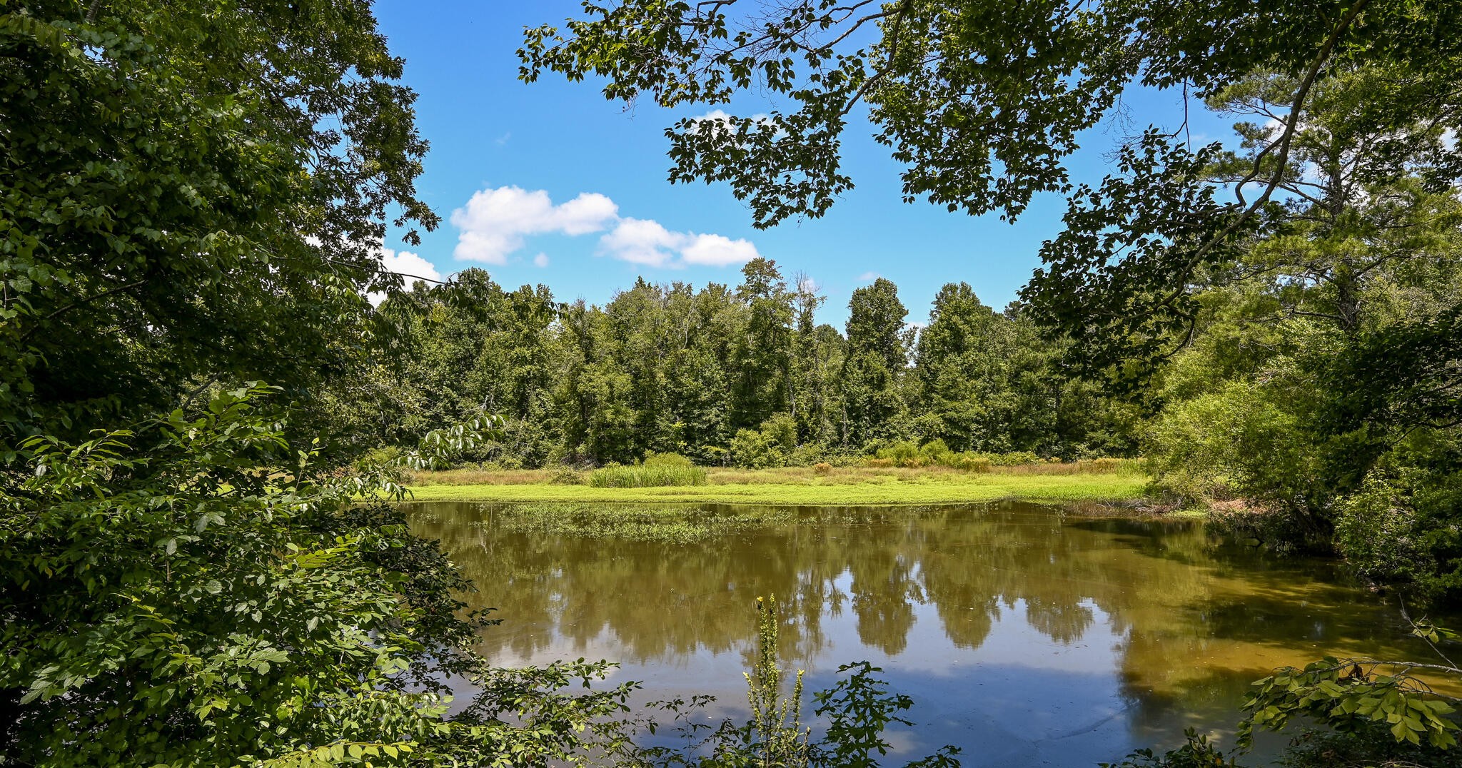 236 Sam Johnson Road, NW