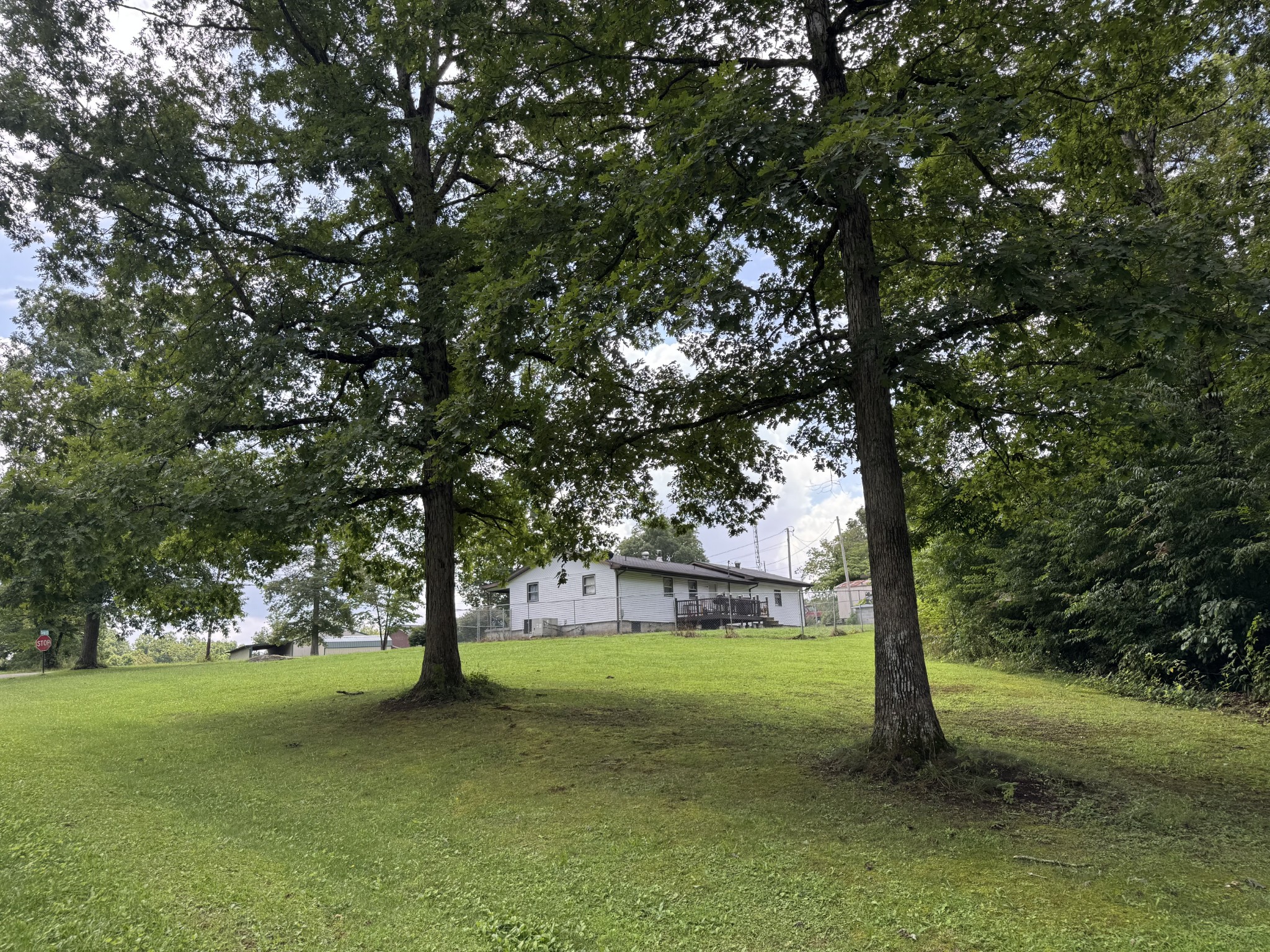 65 Carey Rd