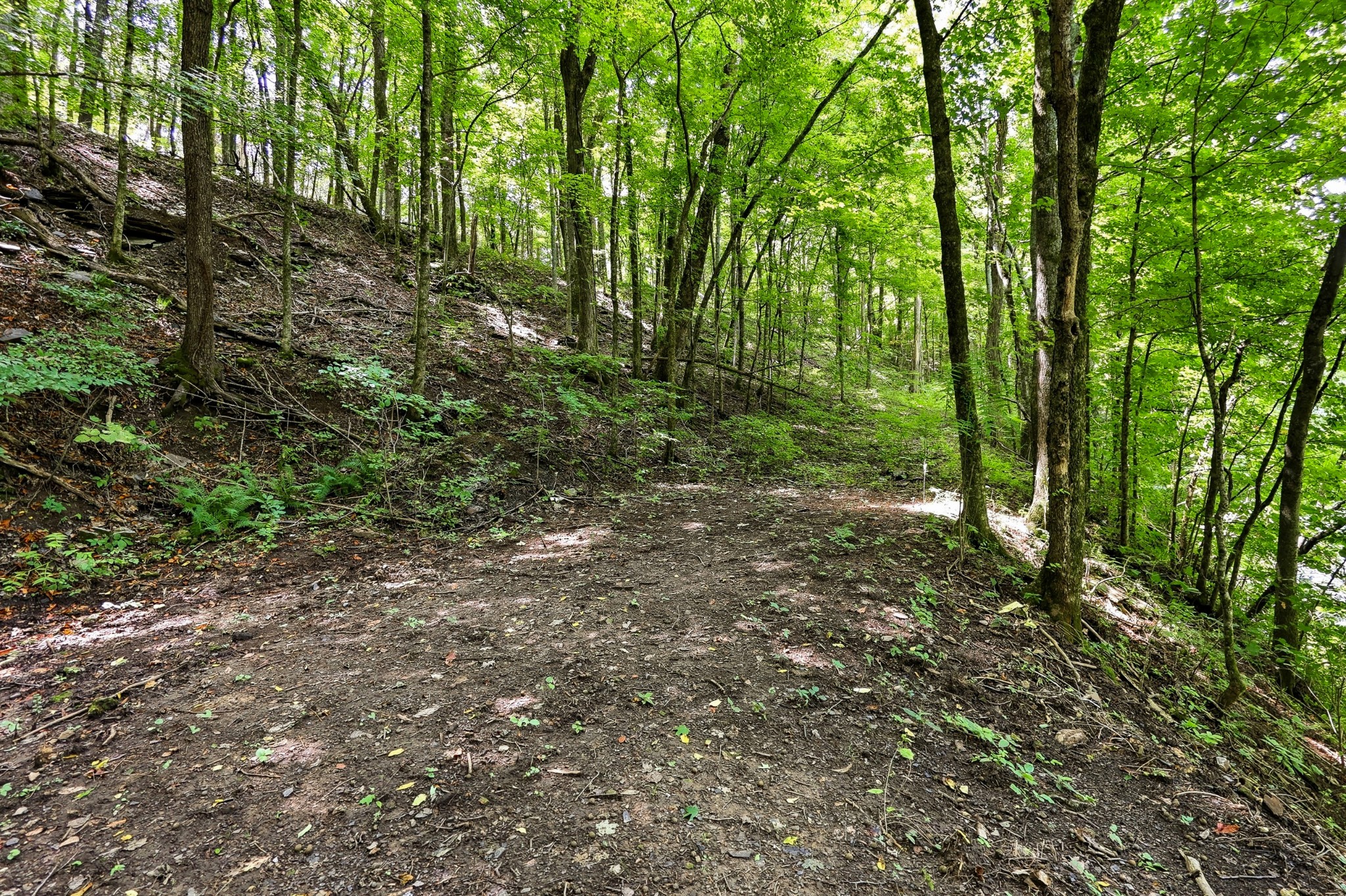 225 Coys Cove Ln