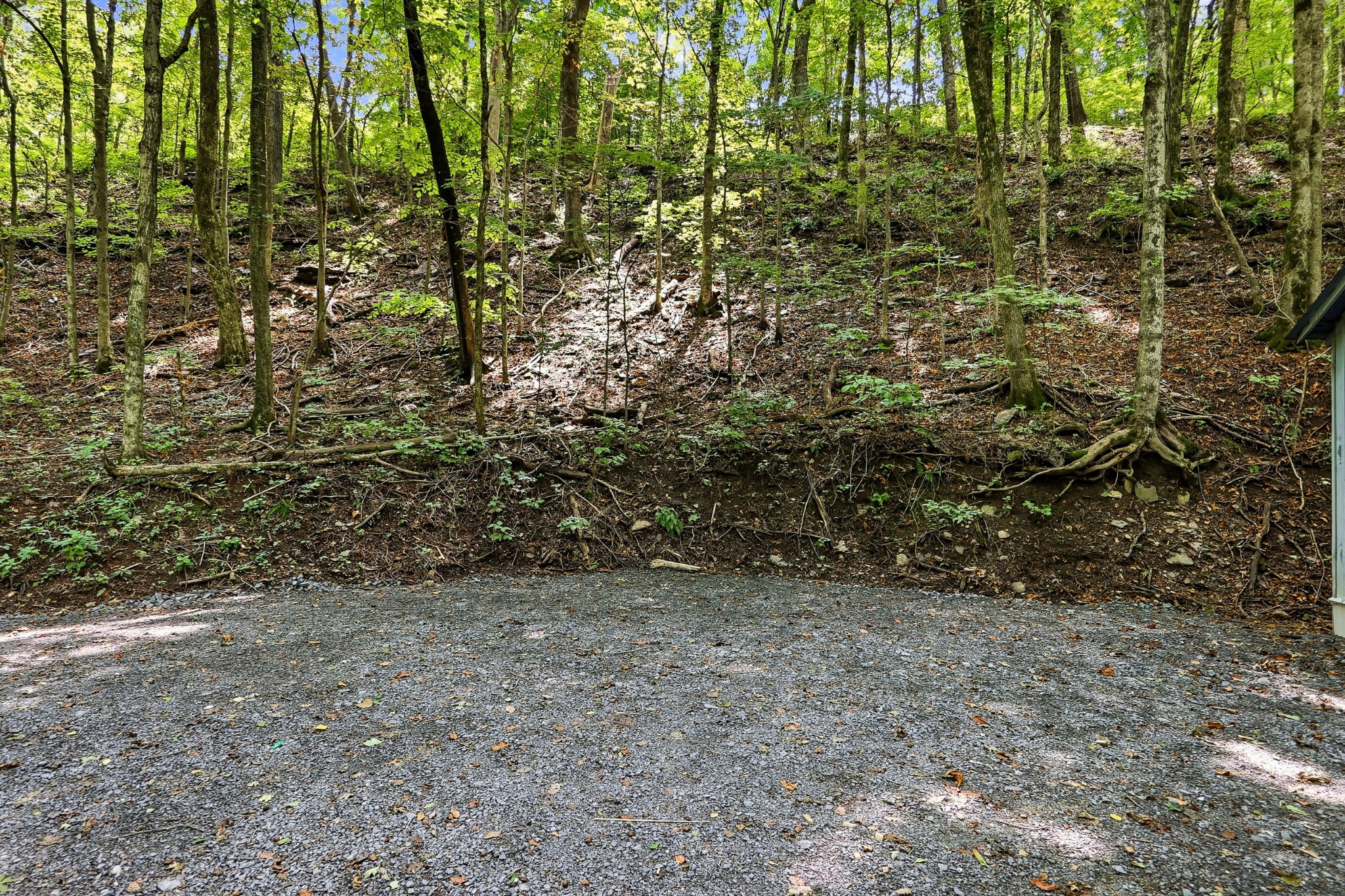 225 Coys Cove Ln