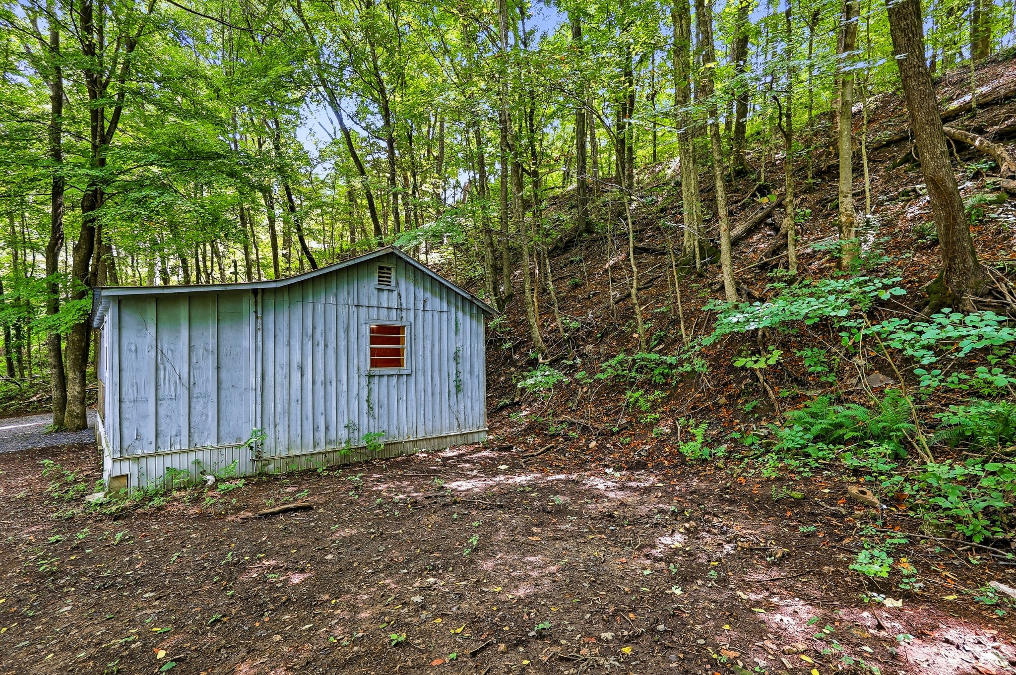 225 Coys Cove Ln
