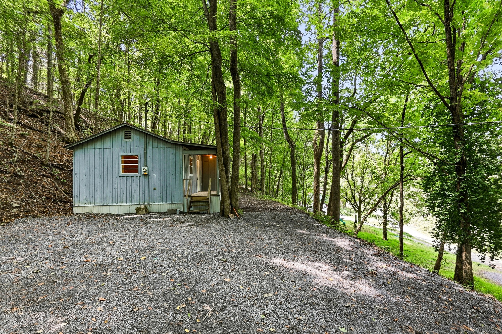 225 Coys Cove Ln