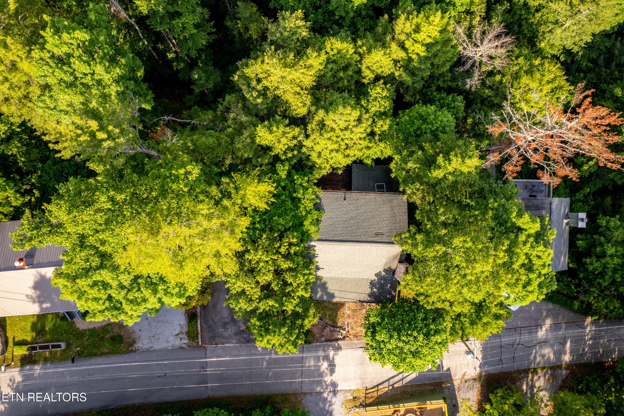 124 Cutter Gap Rd
