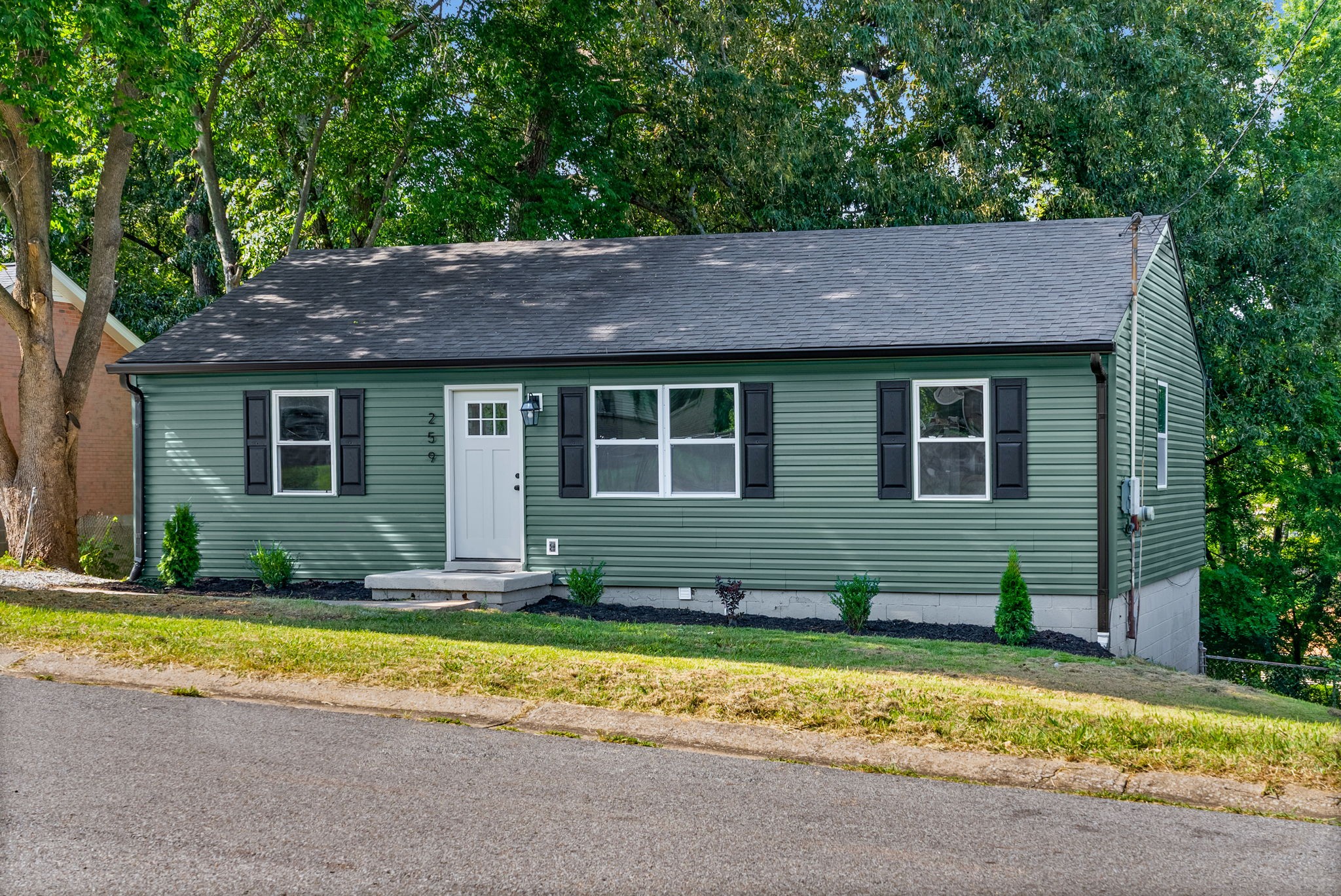 259 Raintree Dr