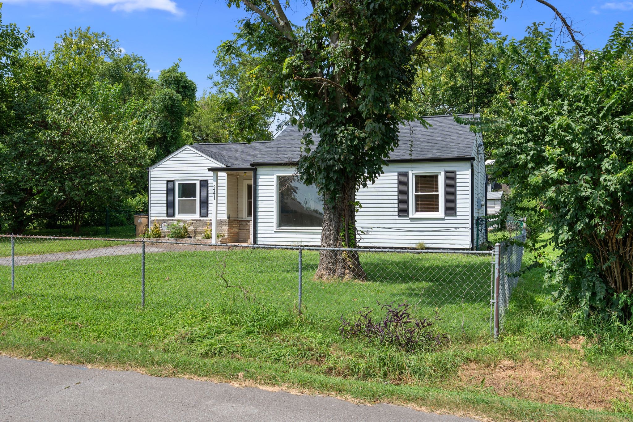241 Wiley St