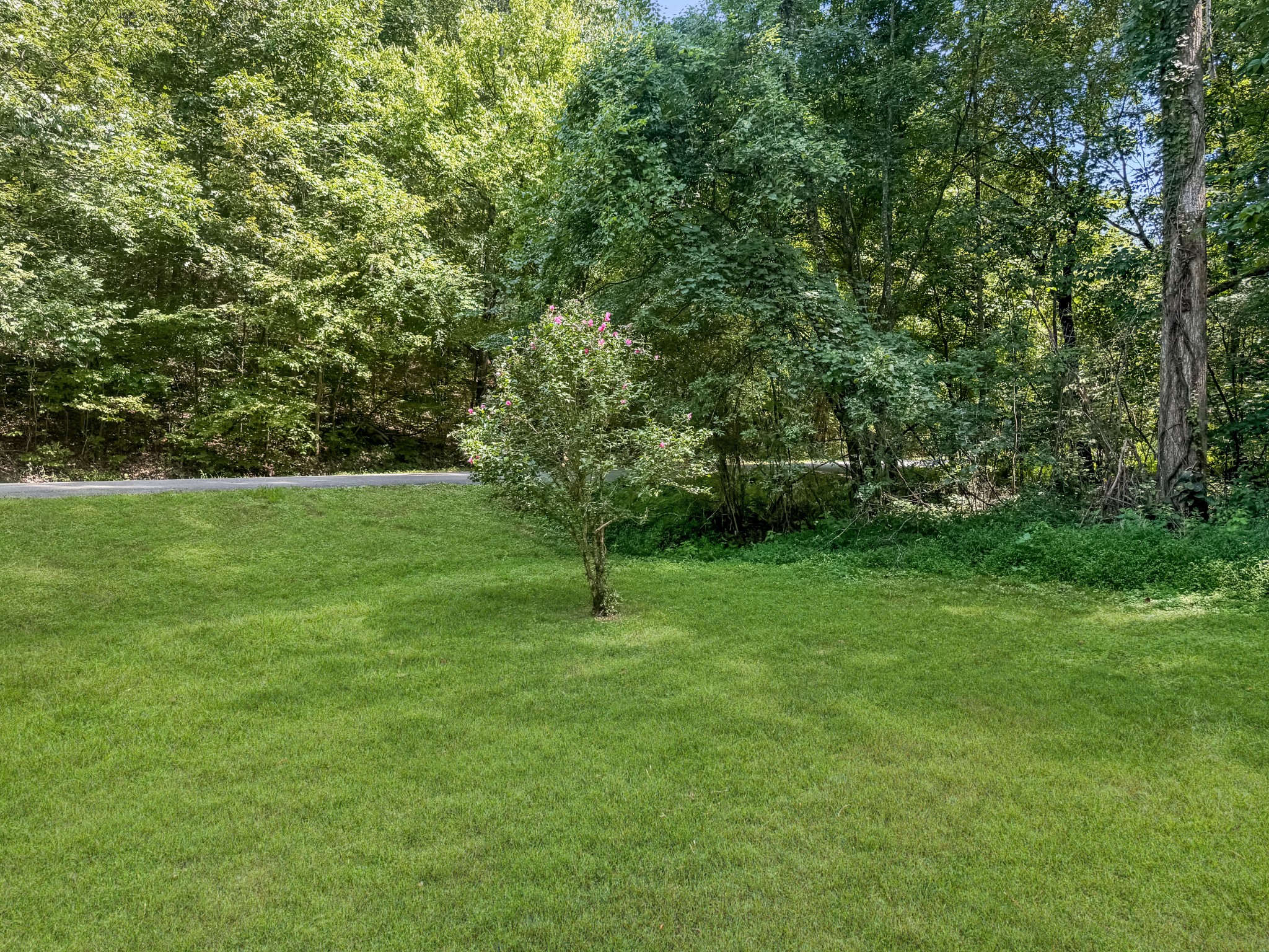165 Lakeshore Dr