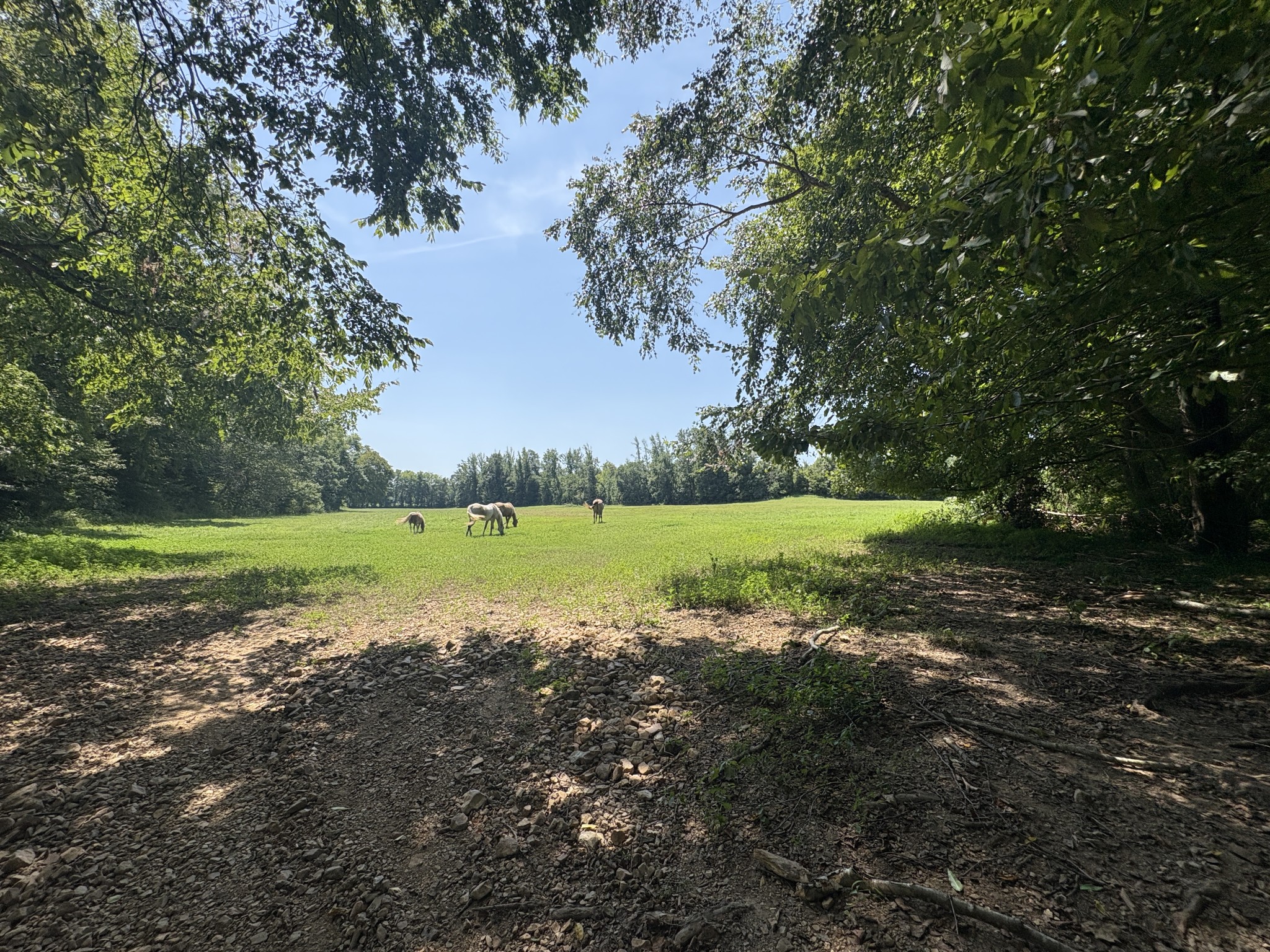 205 Smith Cemetary Ln