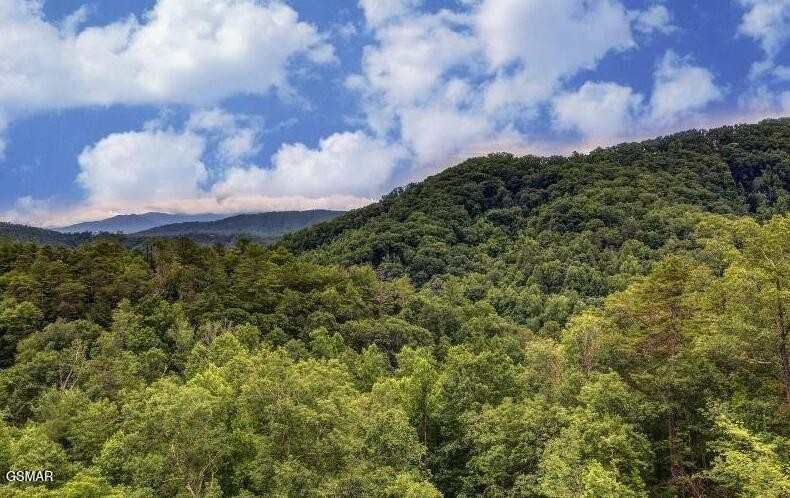 1163 Pine Mountain Road