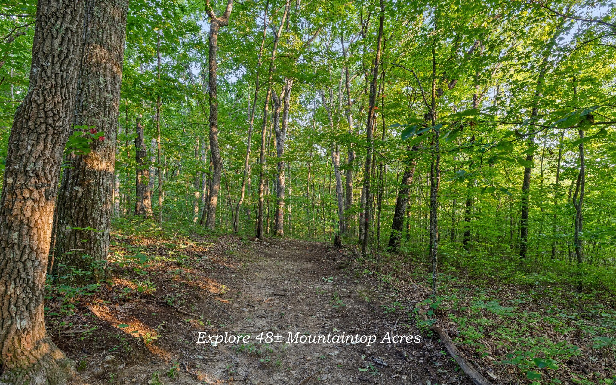 783 Leather Gap Road