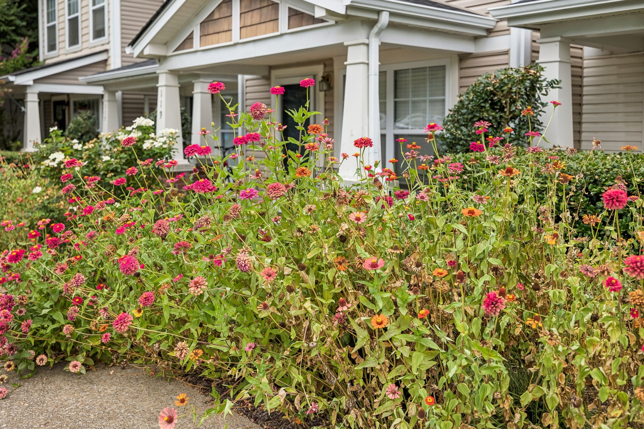 121 Shadow Glen Dr
