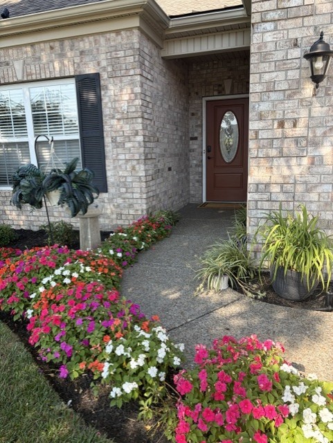235 MEANDERING DRIVE