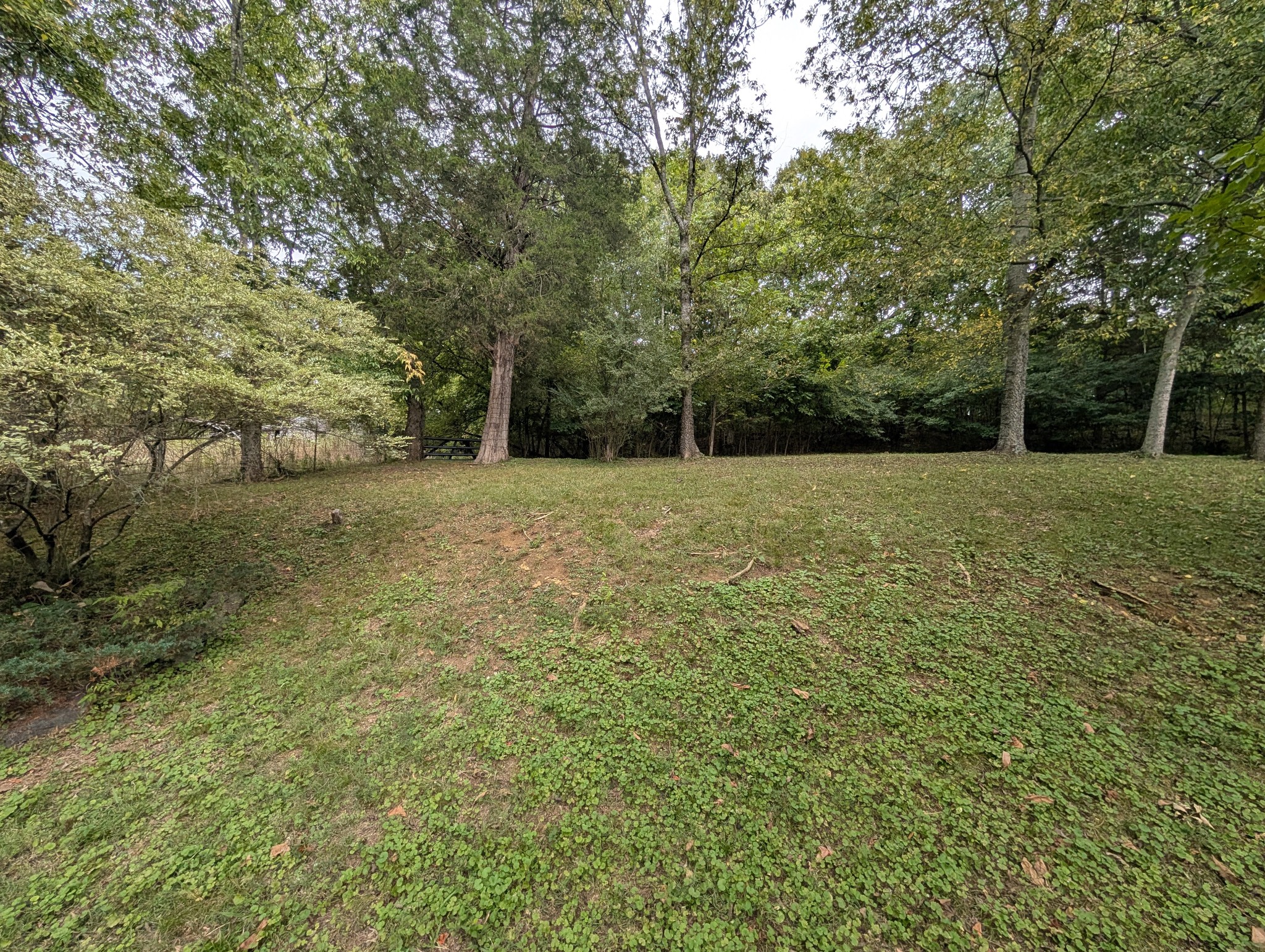1551 Springfield Hwy