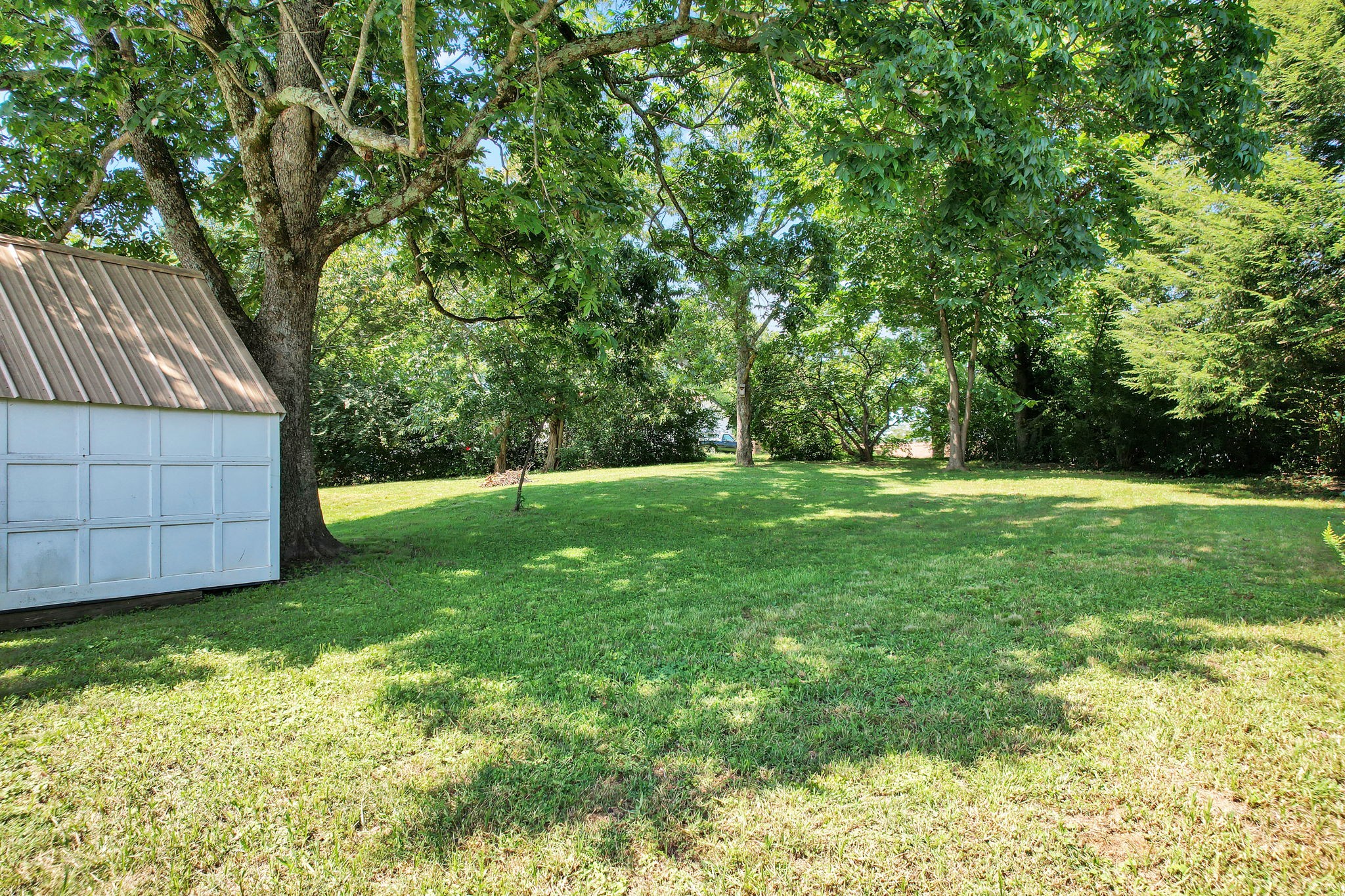 115 County Road 497
