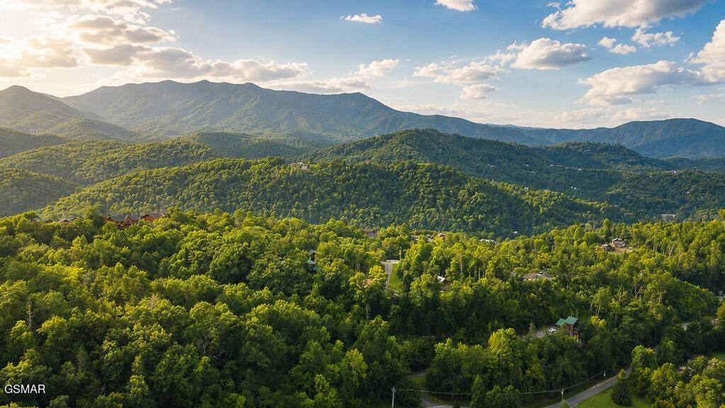 807 Great Smoky Way
