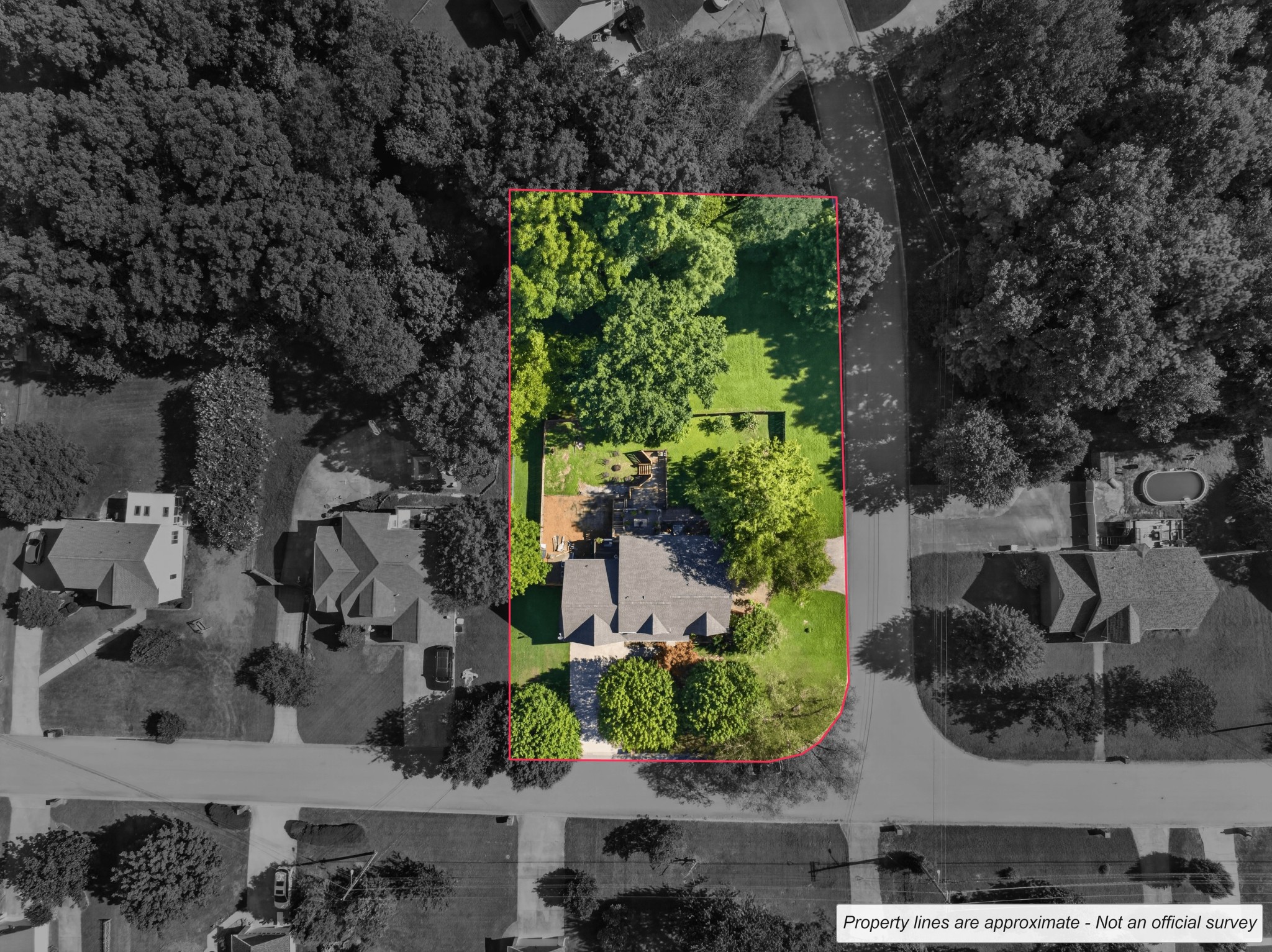 534 Christel Springs Dr