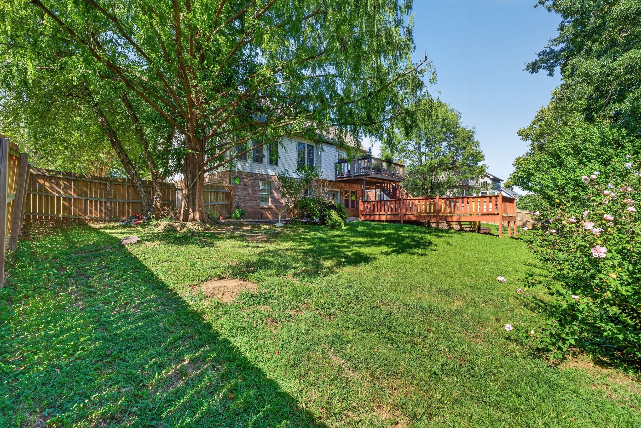 534 Christel Springs Dr