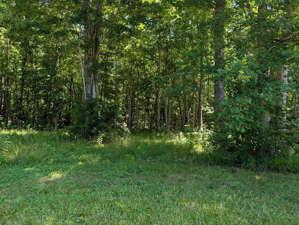 16938 Highway 70, N