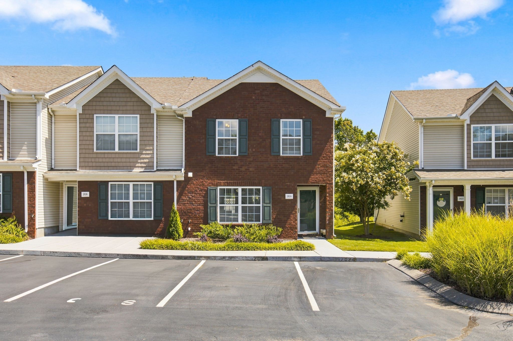 2024 Shaylin Loop