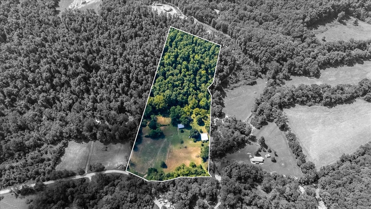 6307 Bell Branch Trl