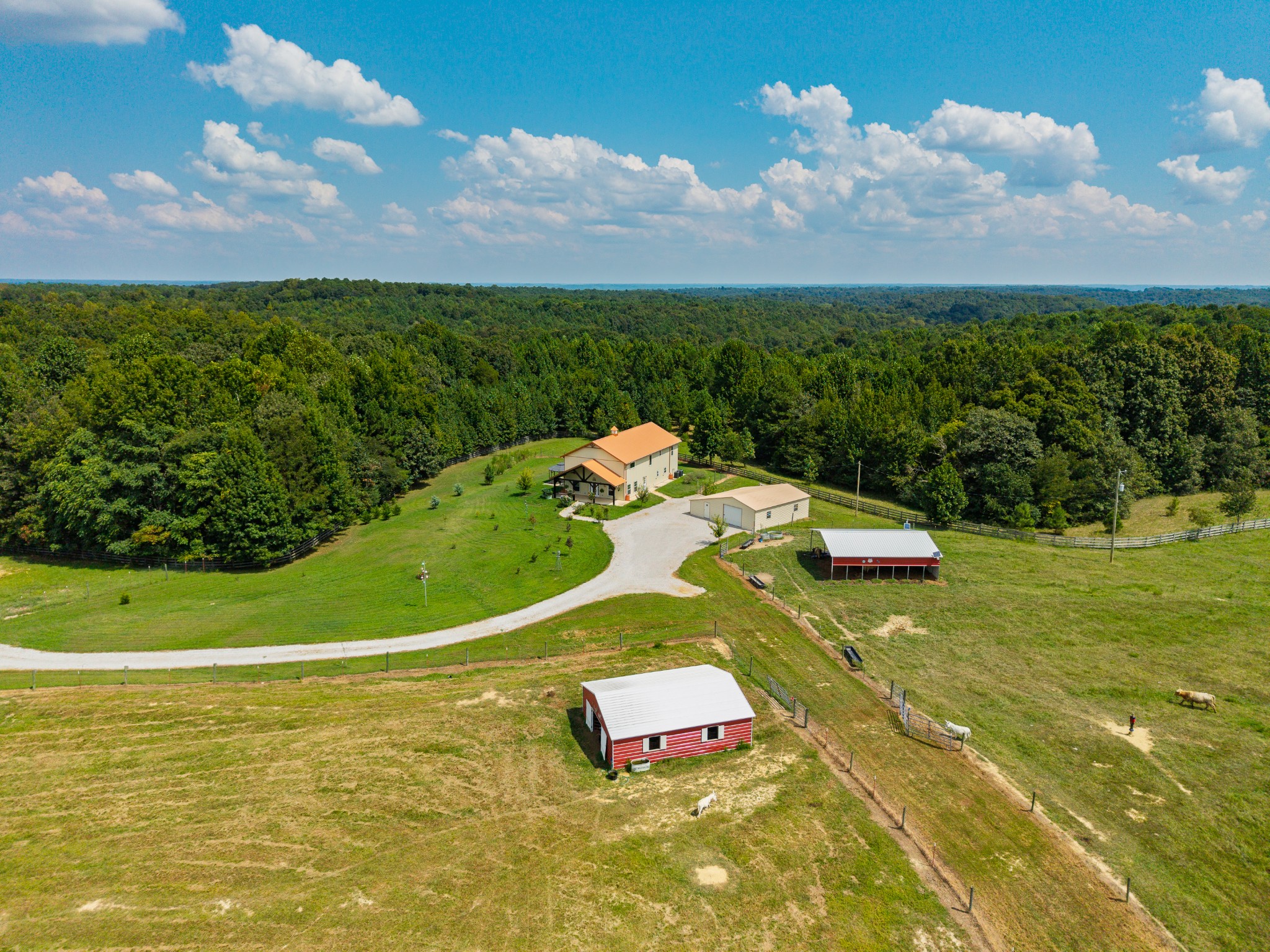 1241 Johnson Branch Rd