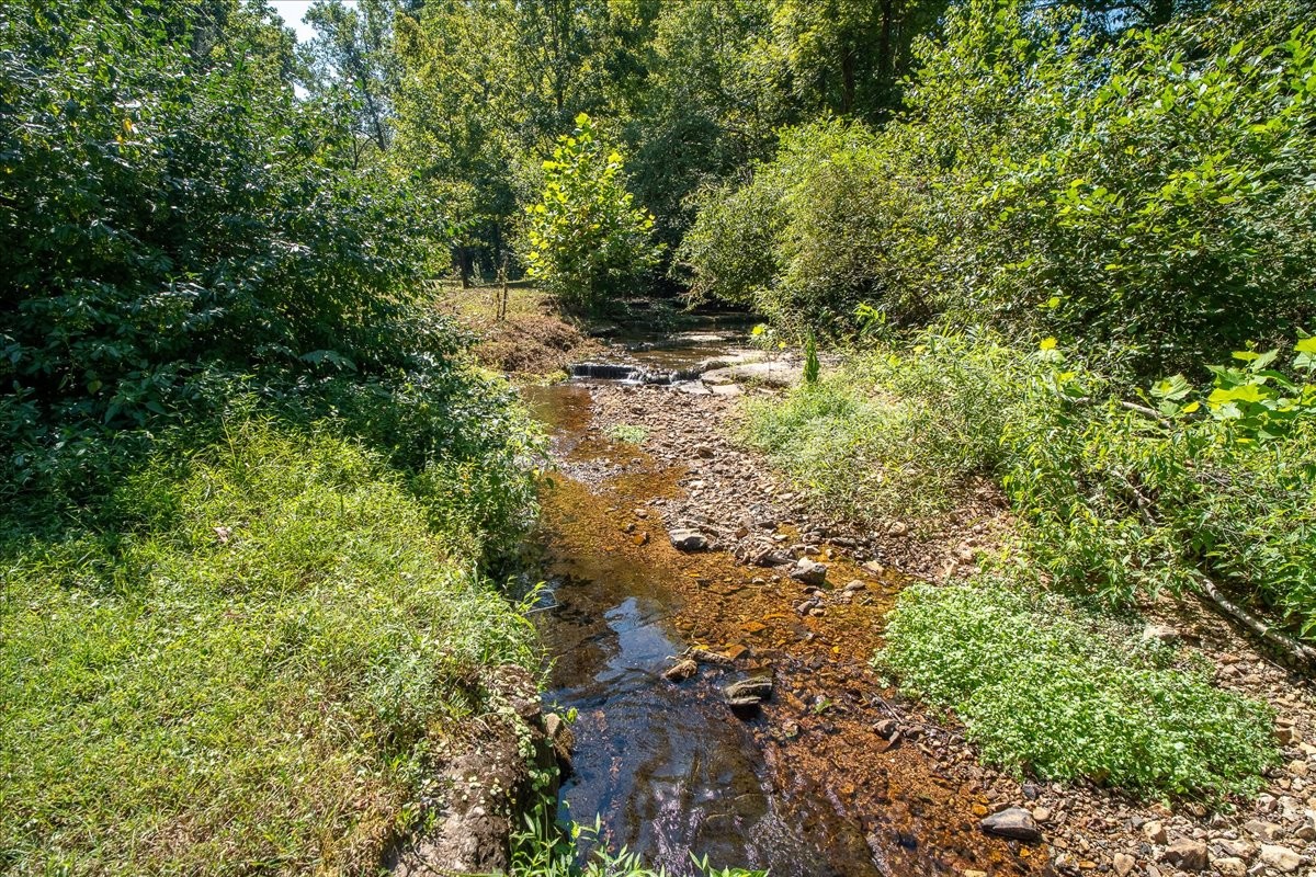 772 Mink Branch Rd