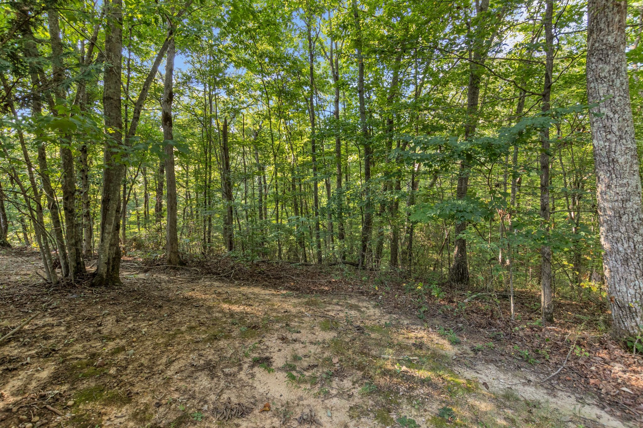 3200 Partin Farm Rd