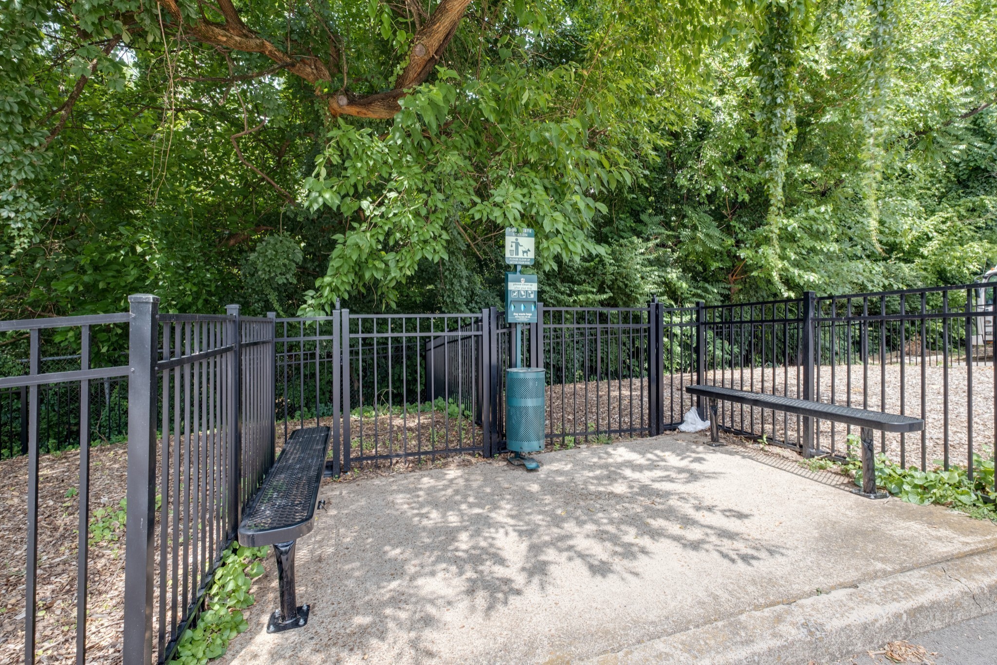 293 Plus Park Blvd
