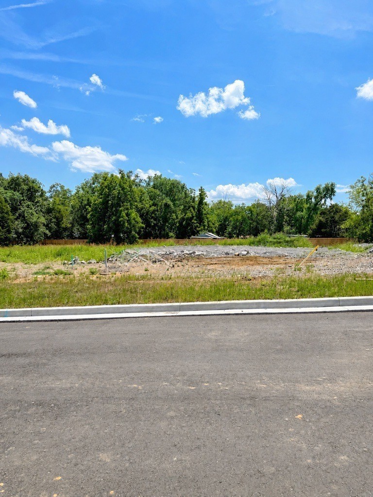 102 Cedarstone Drive