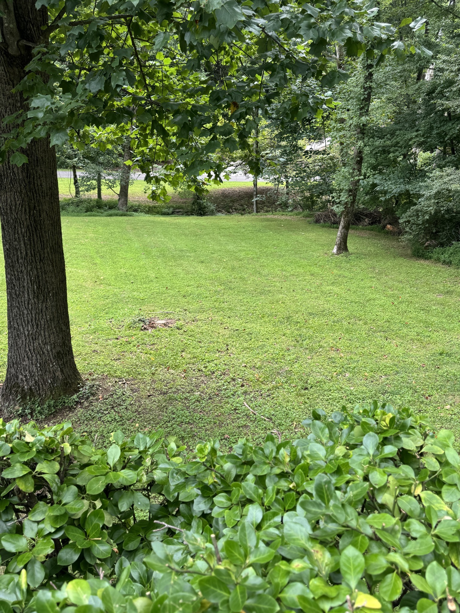 8008 Quail Creek Rd