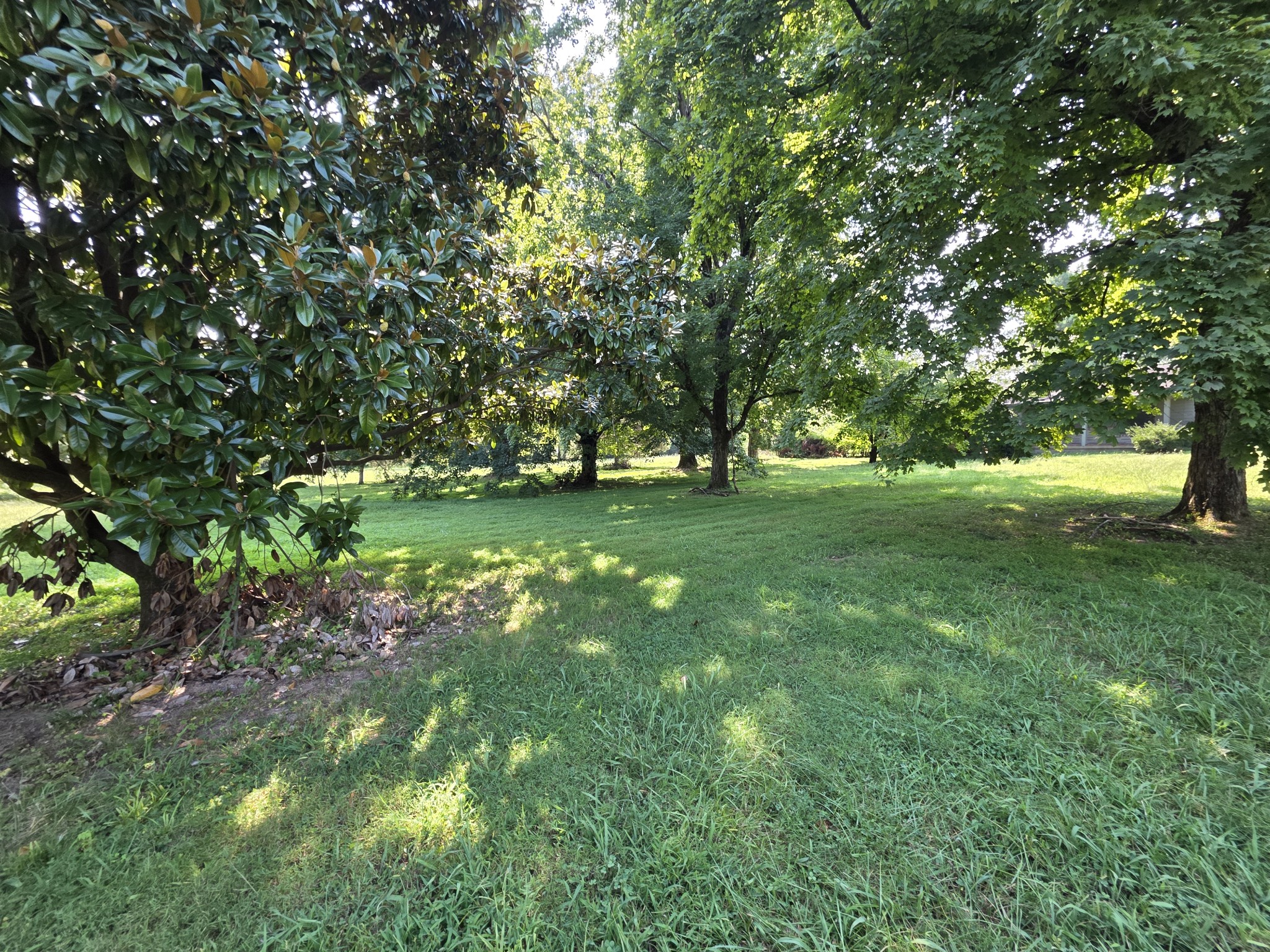 285 Haywood Ln