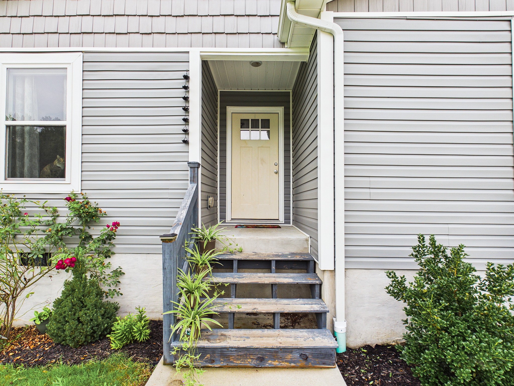 219 County Road 439