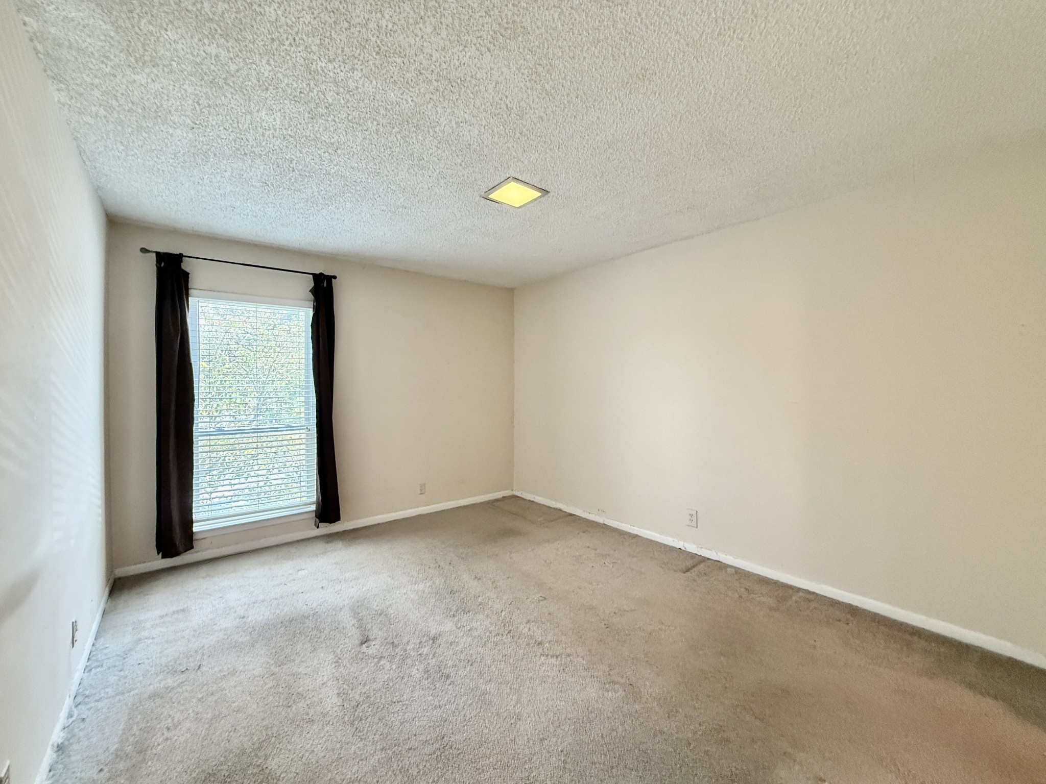515 Basswood Ave