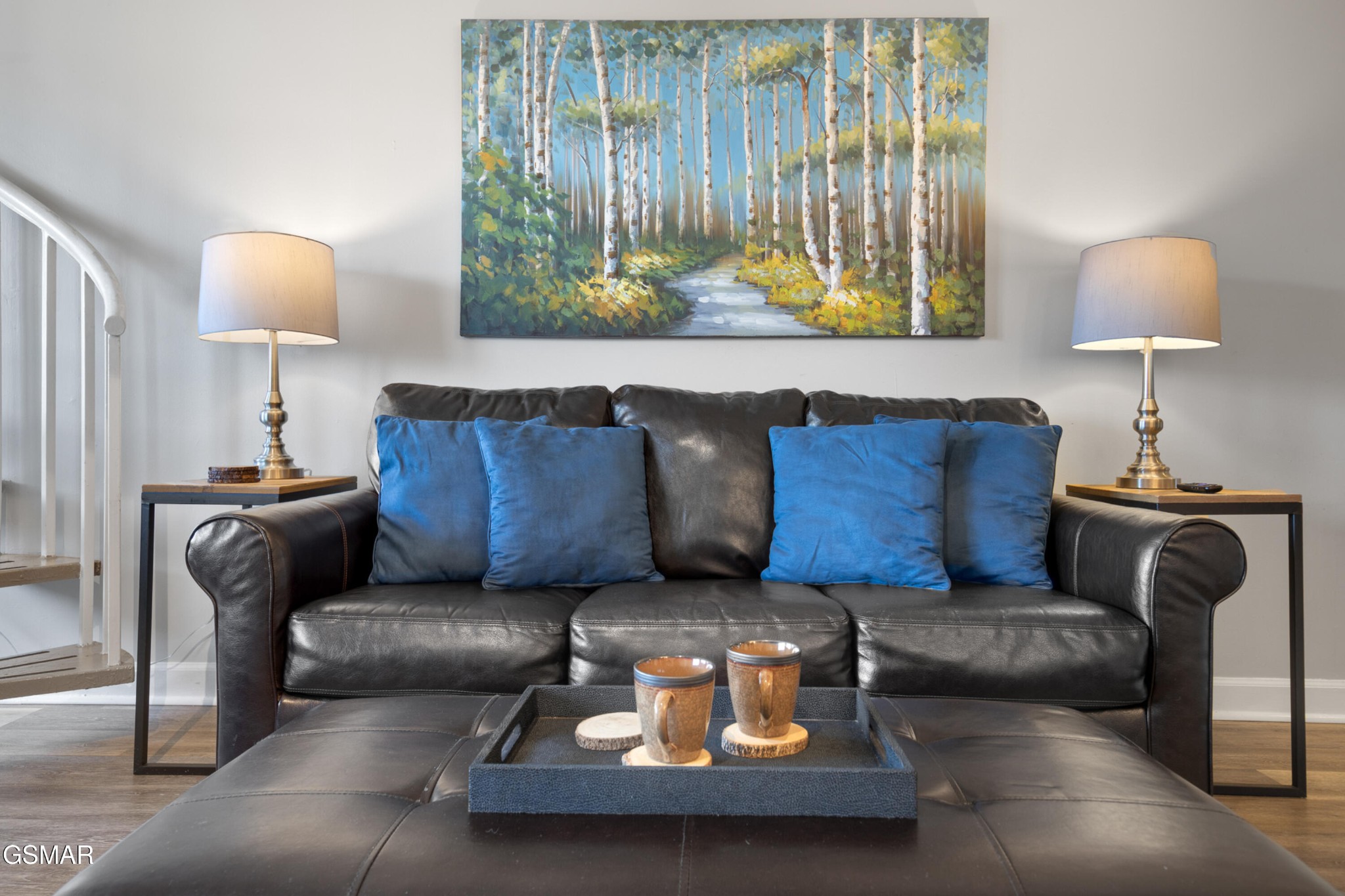1260 Ski View Drive