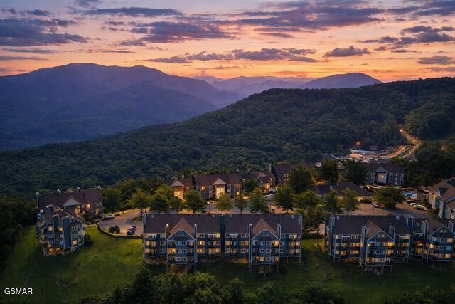 1260 Ski View Drive
