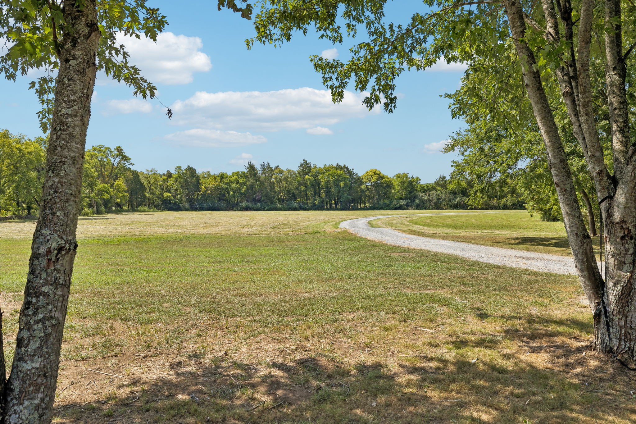 1137 Linwood Rd