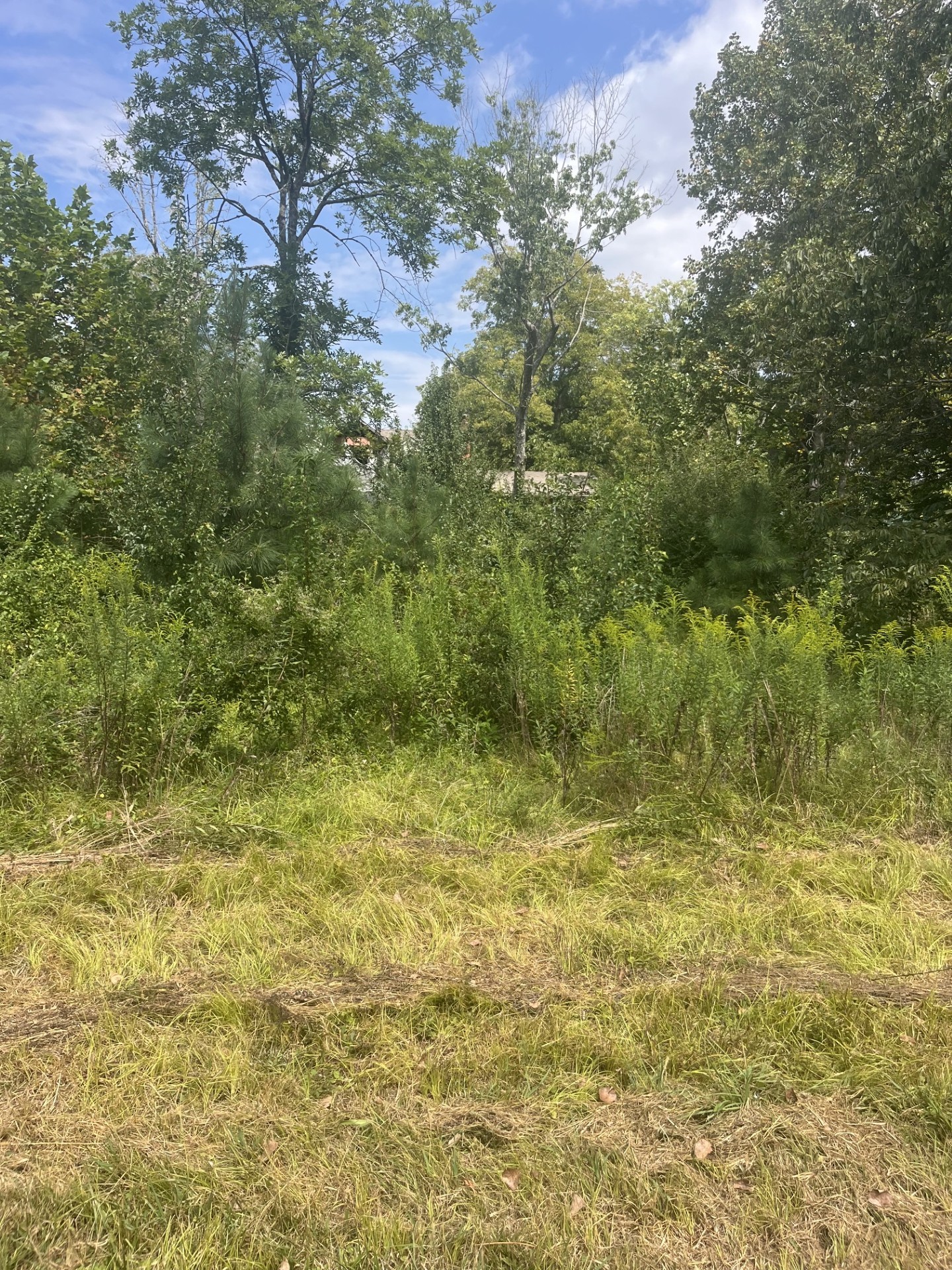 2460 Prospect School Rd, NW